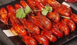 爆料蚌埠龙虾怎么做视频,视频教你轻松学会正宗风味